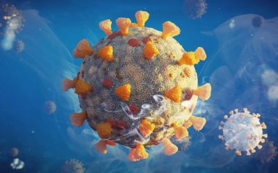 New COVID Variant Spreading in US, Experts Explain Risks